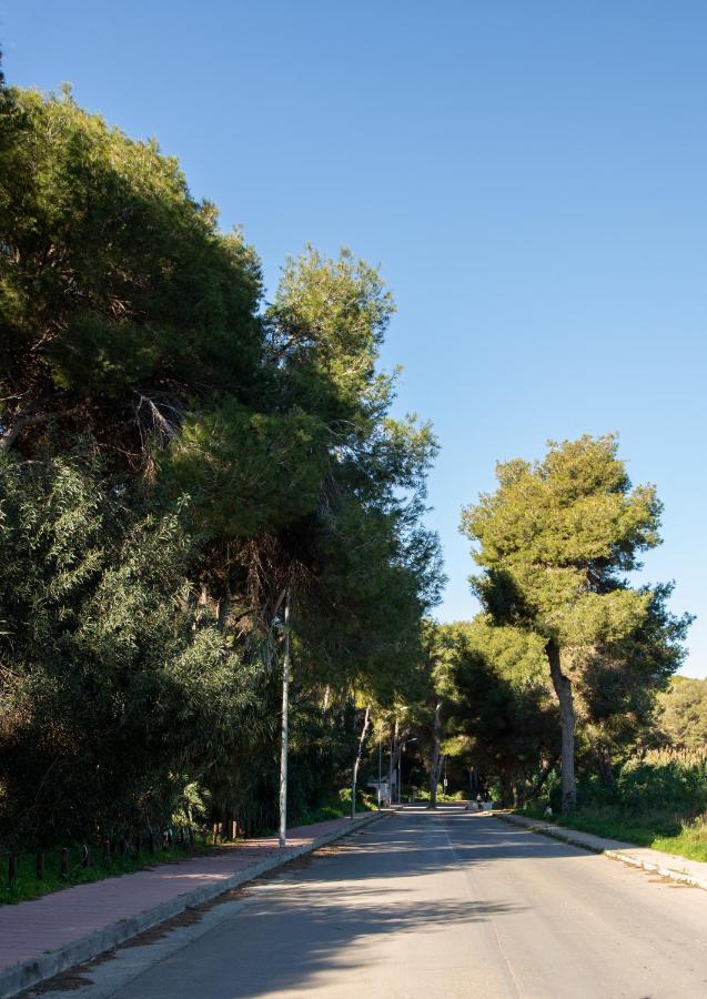 Open View Pinetree Penthouse Leilighet Campoamor Eksteriør bilde